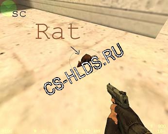 SC RAT